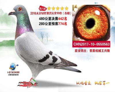 太仓绿化决赛442名