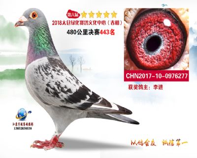太仓绿化决赛443名