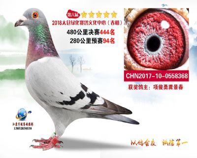 太仓绿化决赛444名