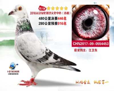 太仓绿化决赛446名