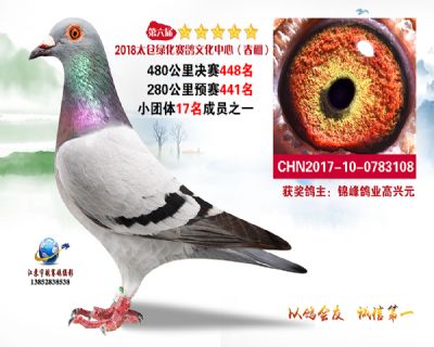 太仓绿化决赛448名