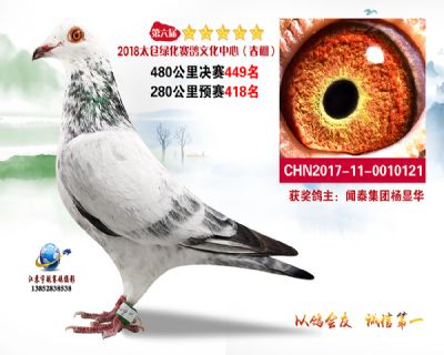 太仓绿化决赛449名