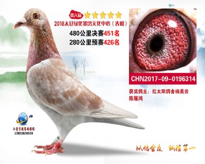 太仓绿化决赛451名