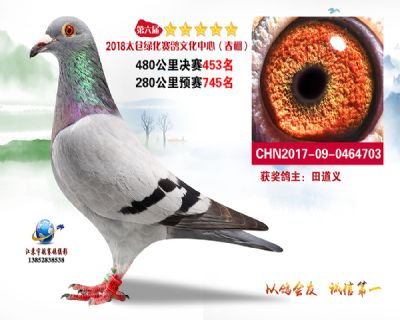 太仓绿化决赛453名