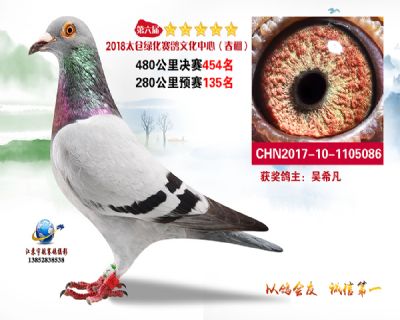 太仓绿化决赛454名