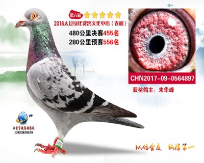 太仓绿化决赛455名