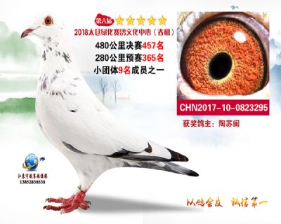 太仓绿化决赛457名