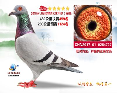 太仓绿化决赛459名