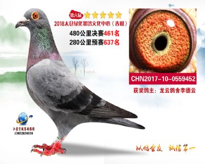 太仓绿化决赛461名