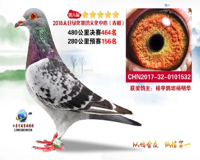 太仓绿化决赛464名