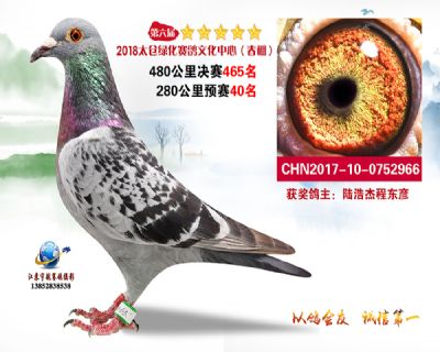 太仓绿化决赛465名