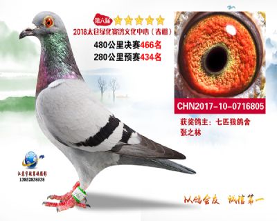 太仓绿化决赛466名