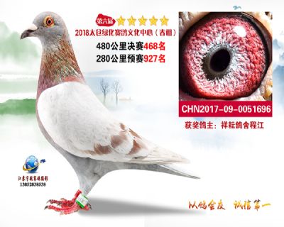 太仓绿化决赛468名