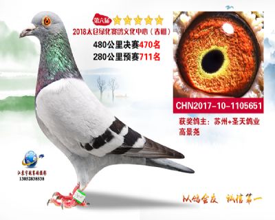 太仓绿化决赛470名