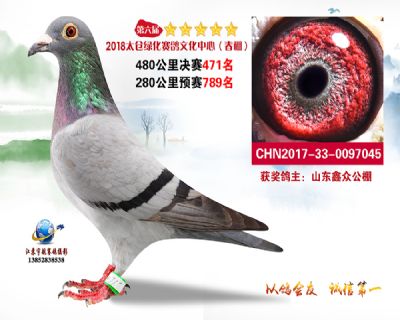 太仓绿化决赛471名