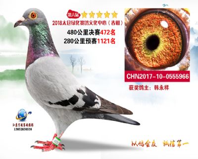 太仓绿化决赛472名