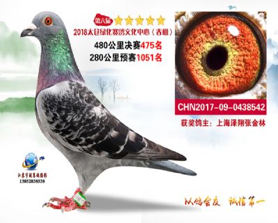太仓绿化决赛475名