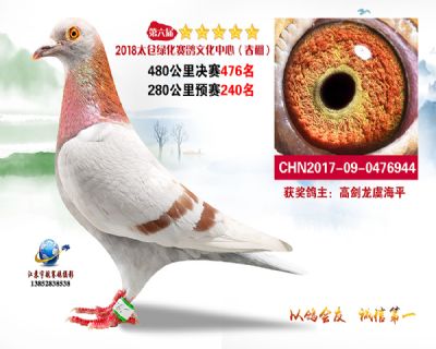 太仓绿化决赛476名