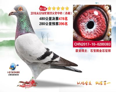 太仓绿化决赛478名