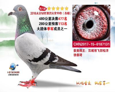 太仓绿化决赛477名