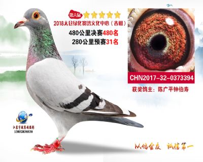 太仓绿化决赛480名