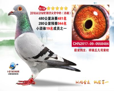 太仓绿化决赛481名