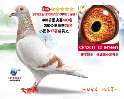 太仓绿化决赛483名