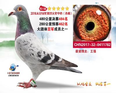太仓绿化决赛484名