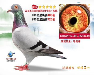 太仓绿化决赛485名