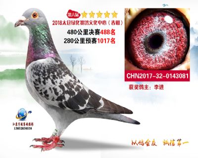 太仓绿化决赛488名