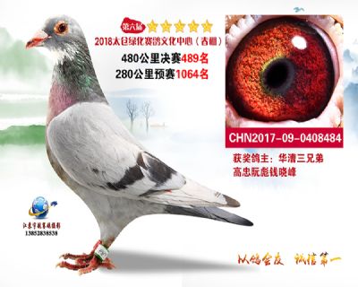 太仓绿化决赛489名
