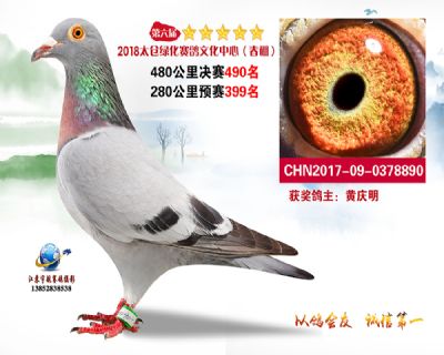 太仓绿化决赛490名