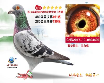 太仓绿化决赛491名