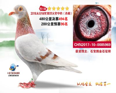 太仓绿化决赛494名