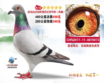 太仓绿化决赛498名
