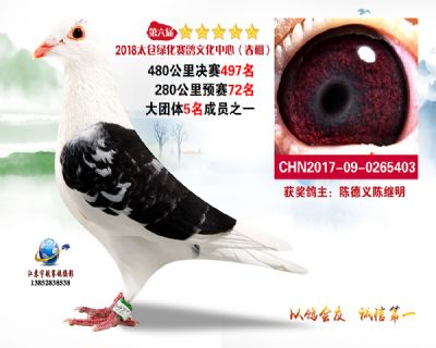 太仓绿化决赛497名