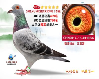 太仓绿化决赛499名