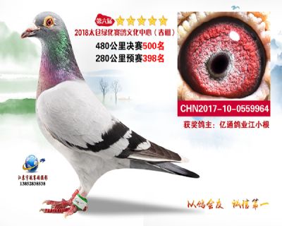 太仓绿化决赛500名