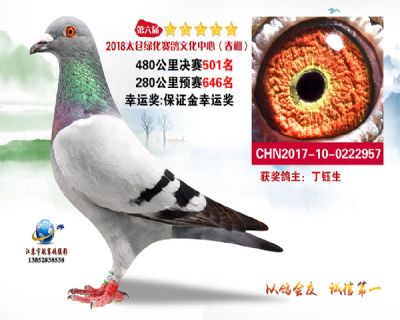 太仓绿化决赛501名