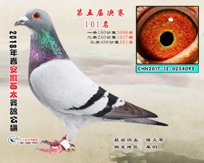 安徽百太决赛101名