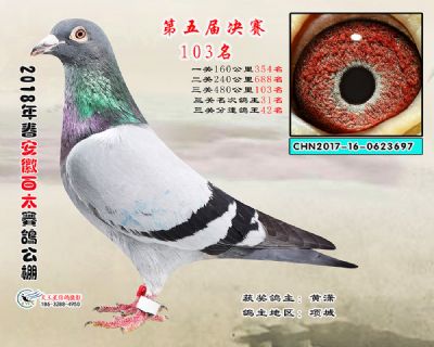 安徽百太决赛103名