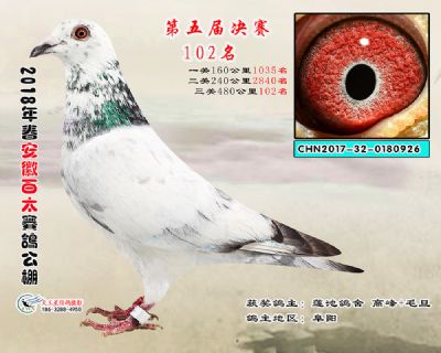 安徽百太决赛102名