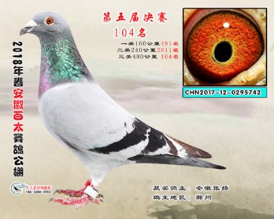 安徽百太决赛104名