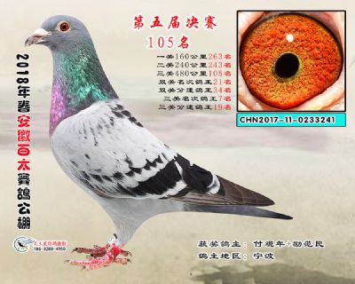 安徽百太决赛105名