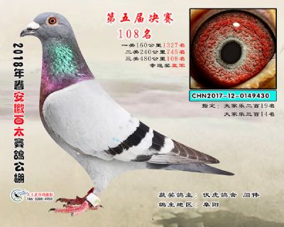 安徽百太决赛108名