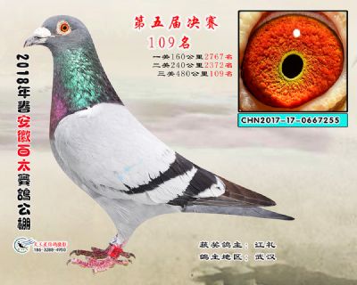 安徽百太决赛109名