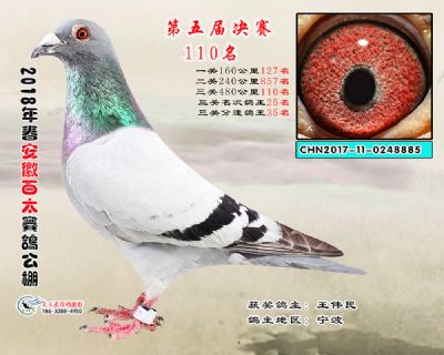 安徽百太决赛110名