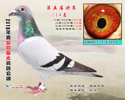 安徽百太决赛114名