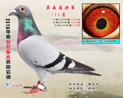 安徽百太决赛116名