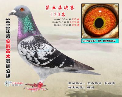 安徽百太决赛120名
